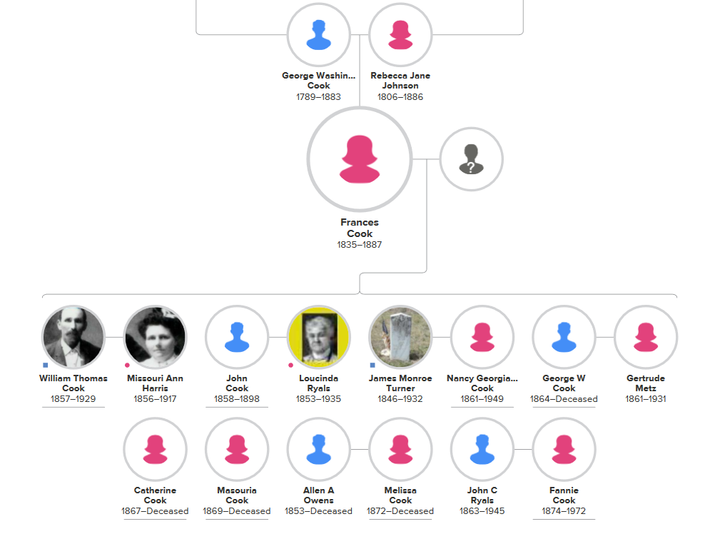 Family tree showing George Cook and his wife Rebecca Jane Johnson, their daughter Frances, and her children: William Thomas Cook, John Cook, Nancy Georgianna Cook, George W. Cook, Catherine Cook, Masouria Cook, Melissa Cook, and Fannie Cook.