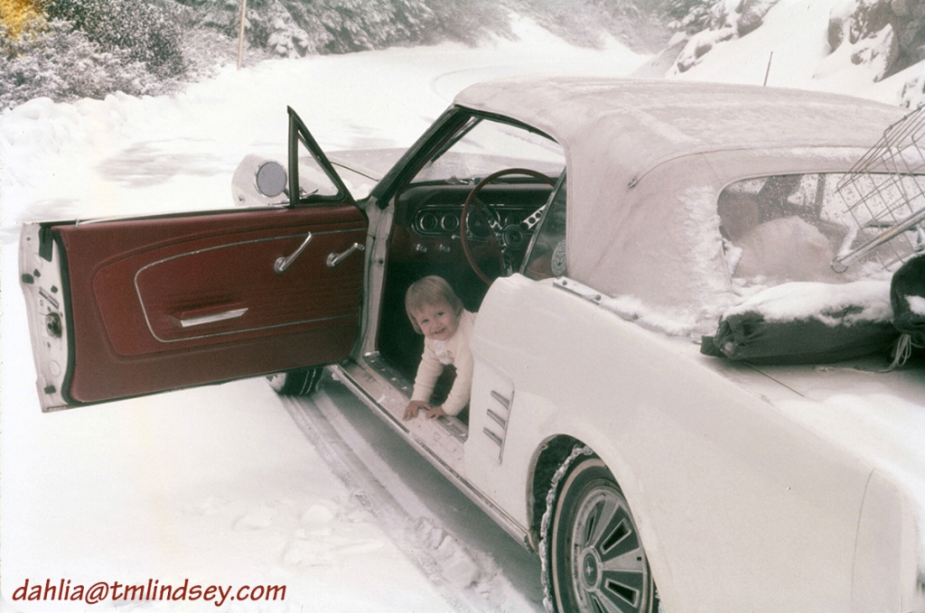 The author as a one-year-old sitting in a white Ford Mustang and looking out the open door at the snow and trees.