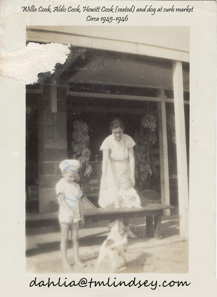 Photo of the curb market where the eagle would have been kept. That's my mam-ma with my uncles Aldis (standing) and Howitt (on the bench) with a dog whose name my mother didn't remember. In the background are bunches of bananas can be seen hanging from the rafters.